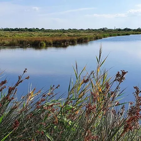 Mobil Climatise Avec Terrasse Dans L'escale, Calme, A 20 Mn A Pied De La Kemp Agde